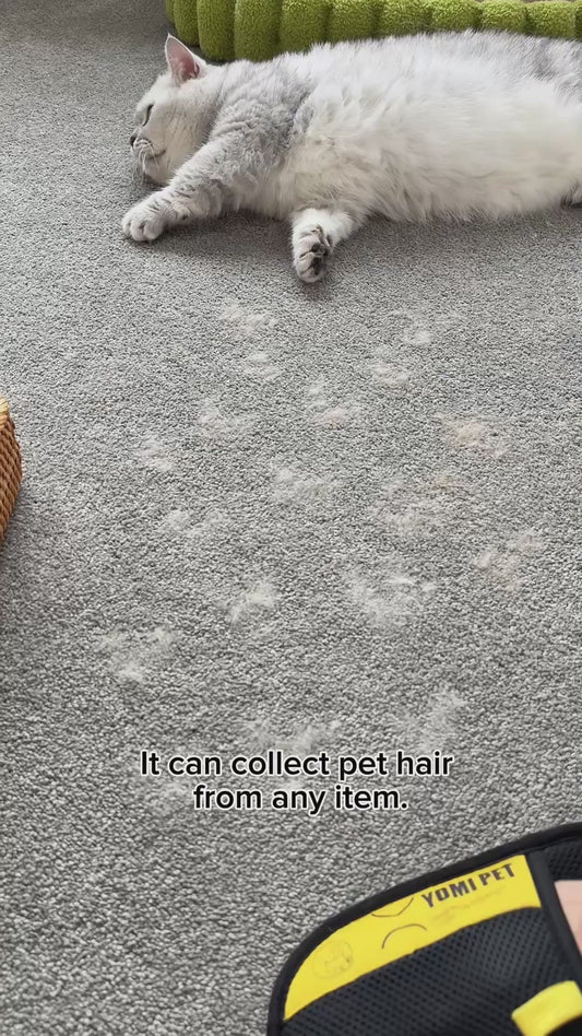 Reusable Pet Hair Removal Glove for Couch, Car & Furniture